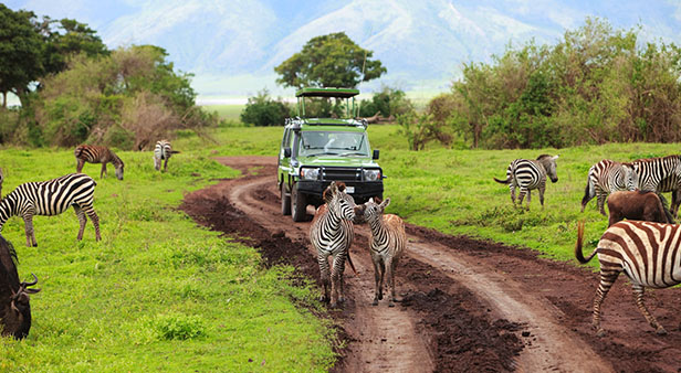 Africa, India & Middle East Destination Ports